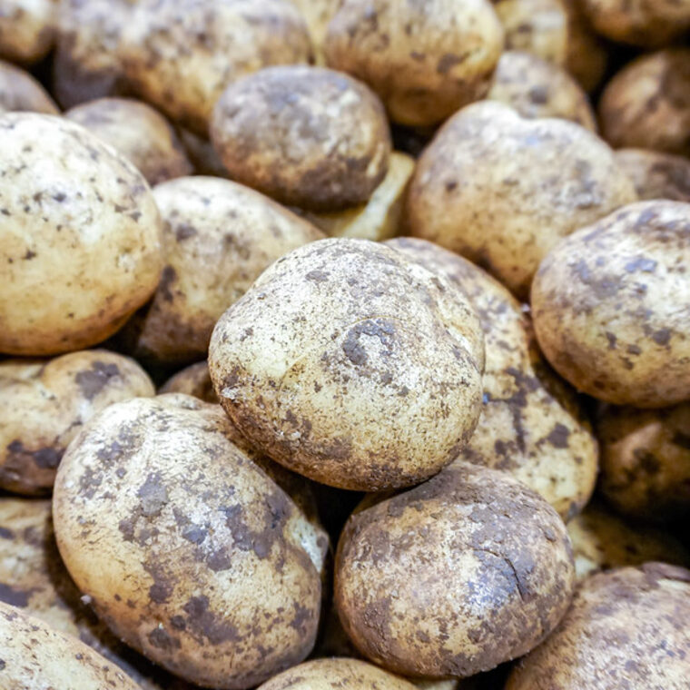 Patates